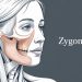 Primary Functions of the Zygoma in Facial Support and Expression
